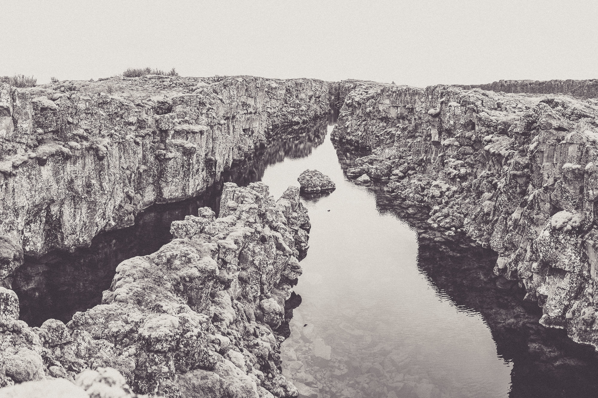 Export x3 5D4 5809 Pano Anja & Damaris @thingvellier 3